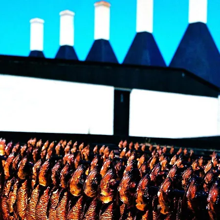 Holiday Vii * Gudhjem